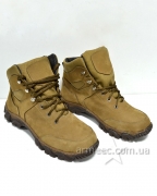 Ботинки мужские Coyote Plain