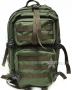 Рюкзак с системой молле Olive A4