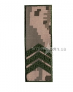 Погон ЗСУ сержант s3