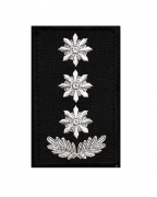 Погон полиции полковник М1