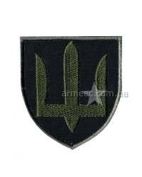 Шеврон Сухопутных войск А6
