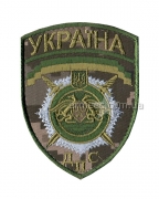 Шеврон ДПС Україна R9