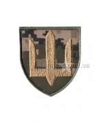 Шеврон Сухопутных войск А10