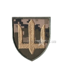 Шеврон Сухопутных войск А10