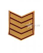 Курсовка ДСНС 4 курс липучка