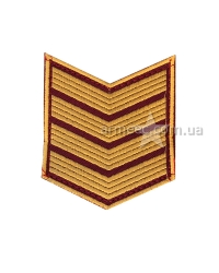 Курсовка ДСНС 4 курс липучка