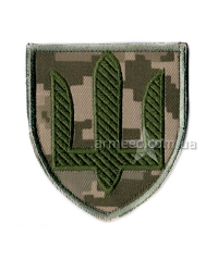 Шеврон Сухопутных войск А3